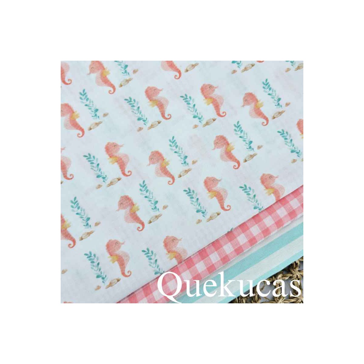 CABALLITOS DE MAR