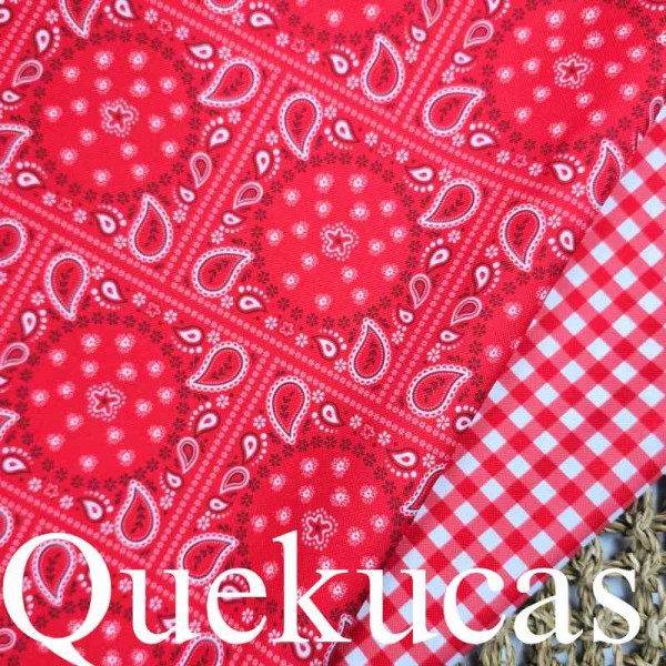 IMPERMEABLE CANVAS BANDANA ROJO 2