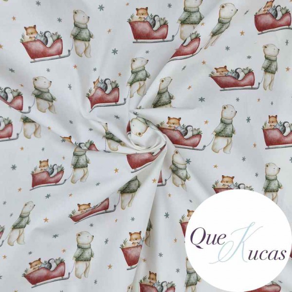 POPELÍN POLAR SLED 2