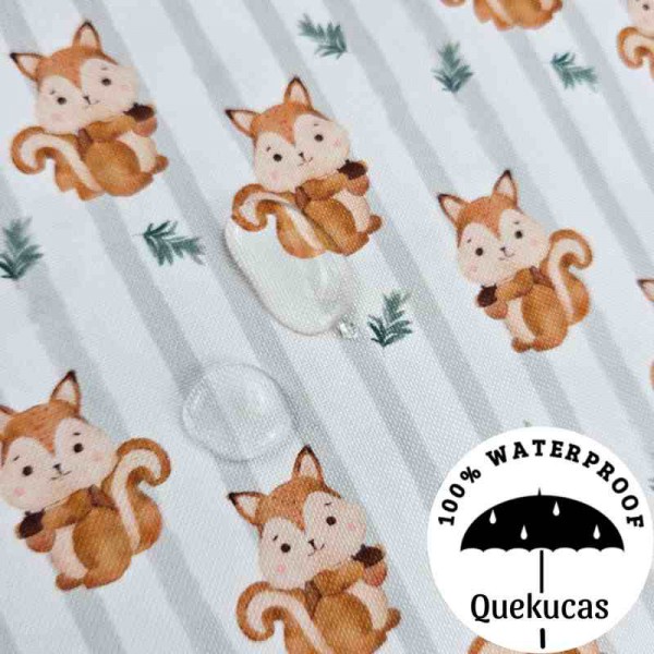 IMPERMEABLE CANVAS SQUIRRELS 2