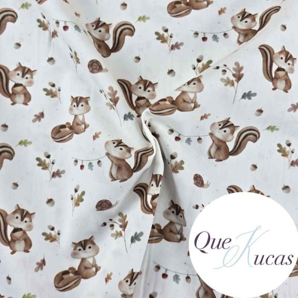 POPELÍN ARDILLAS DE OTOÑO 2